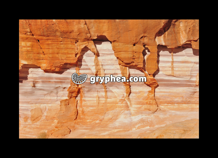 Natural sculptures (Valley of fire, Nevada, USA) - gryphea.com